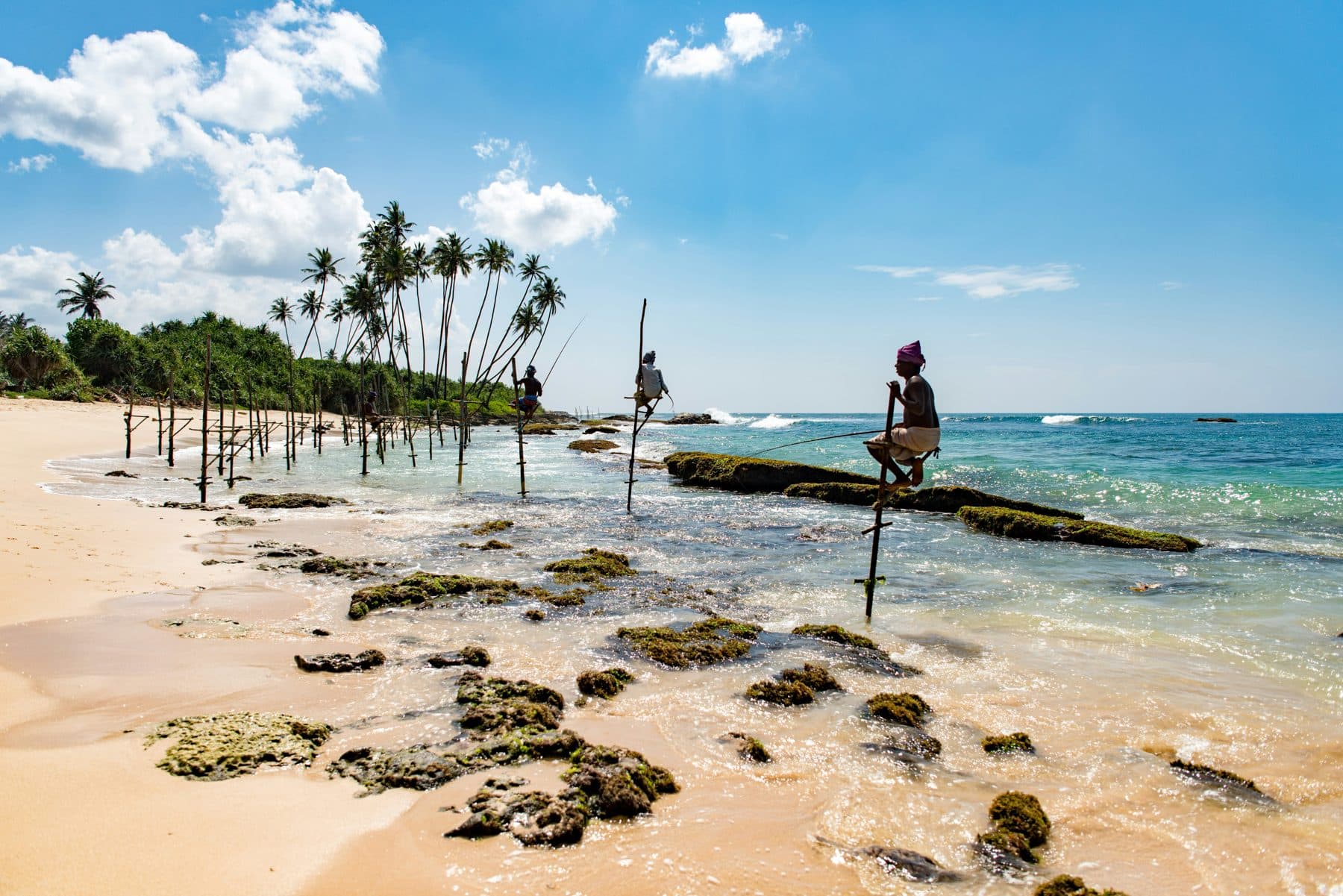 Traditional stilt fishing, southern coast